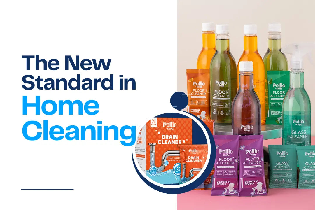 Meet Pollie: The New Standard in Home Cleaning